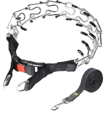 EOEDEPAZ Prong Pinch Collar for Small Dogs - 2.5mm Adjustable No Pull Pet Training Collar with Quick Release Buckle. Kit Includes 3.9ft Leash + Links + 8 Rubber Tips (Fits 11-16in Neck)