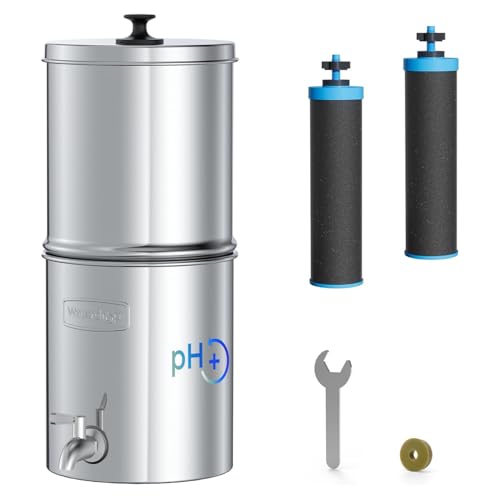 [Alkaline] Waterdrop Gravity-fed Water Filter System, Increase PH, Reduces Lead and up to 99% of Chlorine, with 2 Black Carbon Filters and Metal Spigot, King Tank Series, 2.25G 2.25G Water A