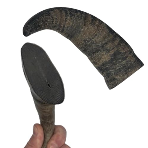 Ace Antlers Buffalo Cow Horn Dog Chew Size Large (L)