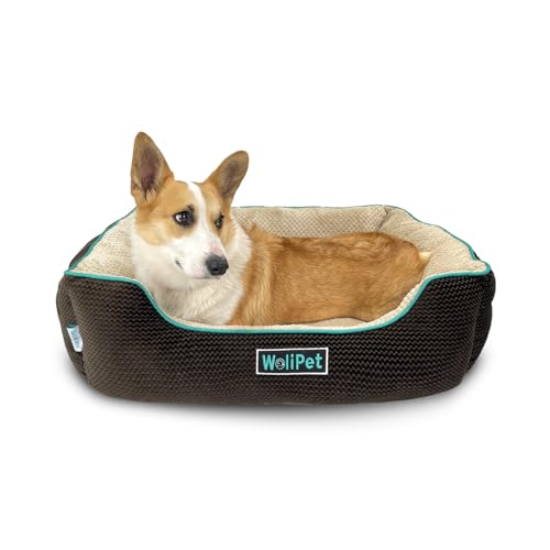 WoliPet �����`���p�x�b�h �y�b�g�\�t�@�x�b�h �����^�L�ƌ��p ����@�􂢉\ �y�b�g�x�b�h ����~�߃{�g��(63.5cmx53.3cmx22.9cm�AM�A�u���E��)