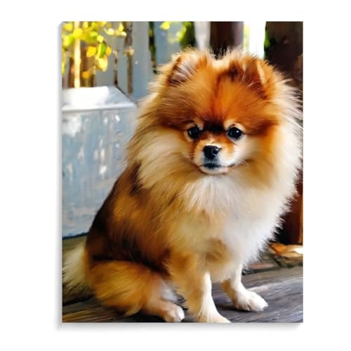 Paint by Number Kits Pomeranian Dog Paint by Numbers,DIY Oil Painting Acrylic Paints for Wall Art 12x16inch(30x40cm) Frameless