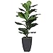 A&B Home Artificial Potted Fiddle-Leaf Fig Plant, Green