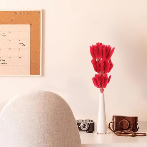 Decoración con hierba seca Bunny Tail, 60 tallos rojos miniatura 7