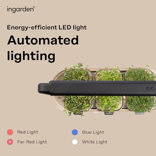 Microgreens-Growing-Kit-Organic-Superfood-Sprouting-Seed-Pads-3-Auto-4-Stage-LED-Grow-Lights-Hydroponic-Watering-System-Chic-Steel-Frame-Ceramic-Bowl-Plastic-Free-Beige