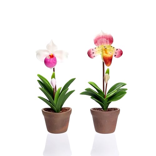 Set de 2 imanes decorativos orquídea Paphiopedilum 3D miniatura 1