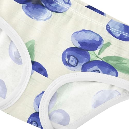 Print Girls Underwear Toddler 2t Cotton Panties for Girl Watercolor Blueberries Beige Briefs Underpants4