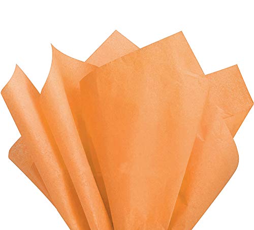 Allgala 100-Sheet 20x26 Inch Tissue Gift Wrapping Craft Crepe Paper-Peach-GP51024