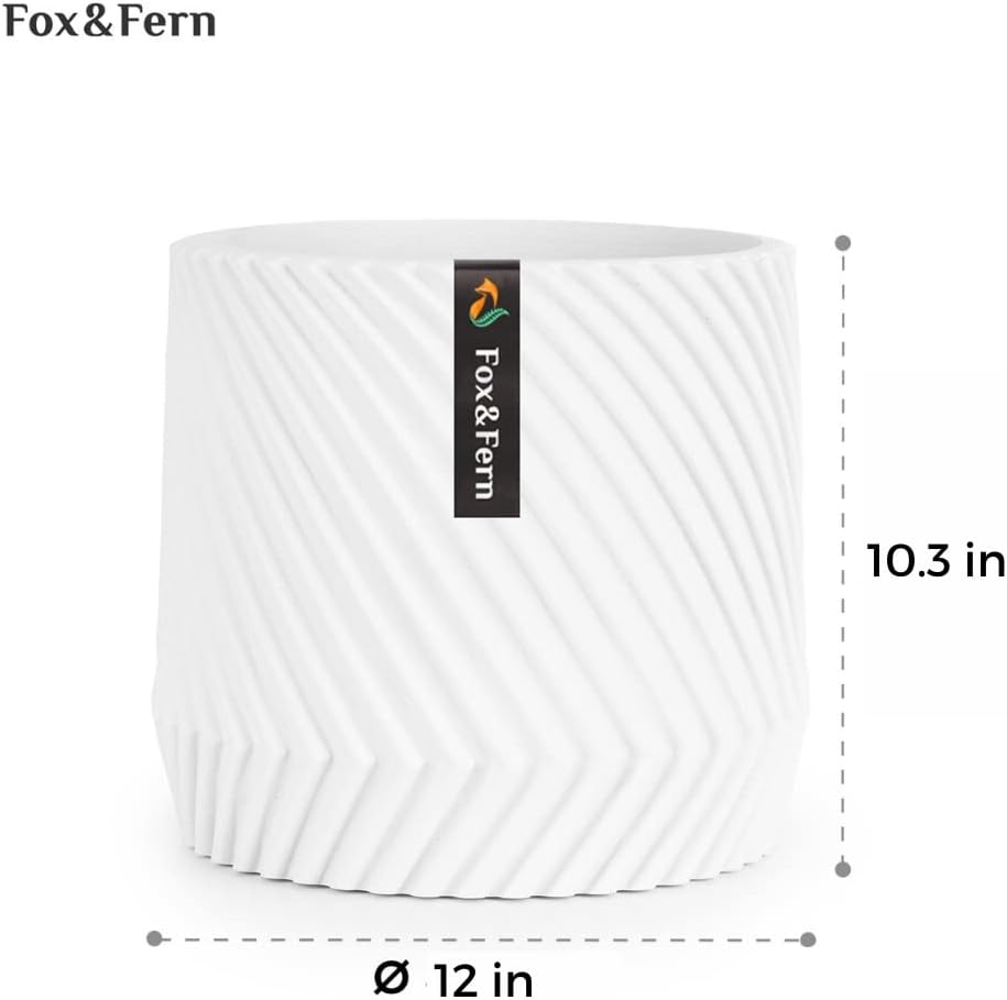 https://m.media-amazon.com/images/I/41jlb-36GSL._AC_SL1080_.jpg