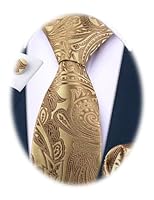 Algopix Similar Product 15 - BarryWang Paisley Tie Fashion Set