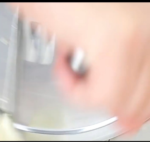 NEWTRY Commercial Vegetable Slicer Manual Potato Slicing Machine Fruit Cutter Onion Slicer 0-15/32 inch Stainless Steel