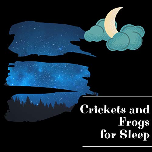 Night Sounds Channel, Frog Sounds Channel & Night Nature Sounds