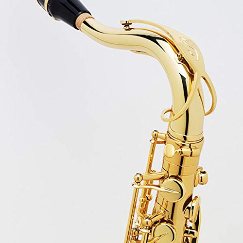 アルトサックス　SELMER　AXOS H.Selmer Axos second generation アルトサックス スタンダード