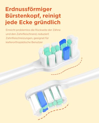Elektrische Zahnbürste, Schallzahnbürste für Erwachsene und Kinder, Electric Toothbrush mit 5 Putzmodi 3 Intensitätsstufen Integrierter Timer und 8 Zahnbürstenköpfen, Reiseetui, Rosenrot – Bild 8