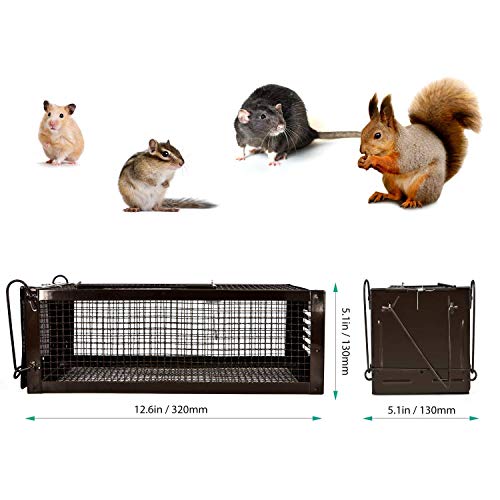 Ratzfatz Mouse Trap Humane Live Animal Cage, Catch And Release Mice, Rats, Chipmunks, Small Squirrels, Hamsters And Other Rodents, Hook Design #TOP3