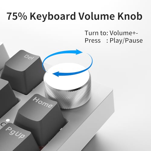 Image of Ajazz AK820 75% Wired Gasket Mechanical Gaming Keyboard with Volume Knob - South Facing LED - Poron Foam