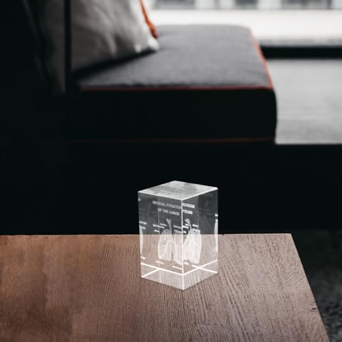 Modèle anatomique cube cristal pour comprendre l'anatomie - 6