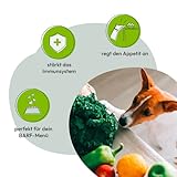 GRAU – das Original – Trockengemüsemischung zum BARFen für Hunde - Gemüsemix Mischung Nr. 2', 1er Pack (1 x 500 g), Ergänzungsfuttermittel für Hunde