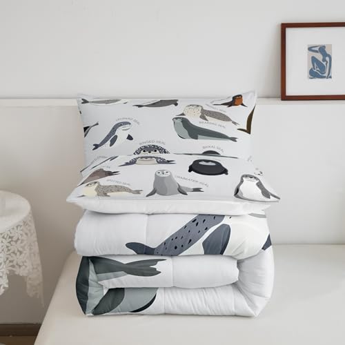 Image of Feelyou Kids Cartoon Seal Comforter Set Full Size for Boys Girls Teens