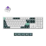 Keychron Q6 HE Wireless Custom Magnetic 100% Full Keyboard, 2.4 GHz/Bluetooth/Wired QMK Aluminum Rapid Trigger Hot-Swappable Programmable Gateron Double-Rail Magnetic Switches for Mac Windows Linux