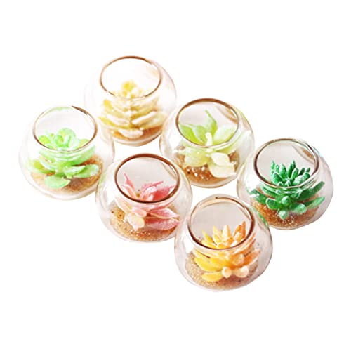 SOLUSTRE 6Piezas Decorativa de Plantas Artificiales Maceta Aleatorio Adorno de Escritorio y Decoración para Hogar Simulación de Suculentas y Cactus