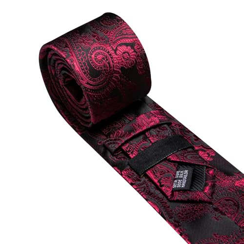 Image of Barry.Wang Paisley Tie for Men Silk Woven Necktie and Tie Clip Set Wedding Party Business Formal