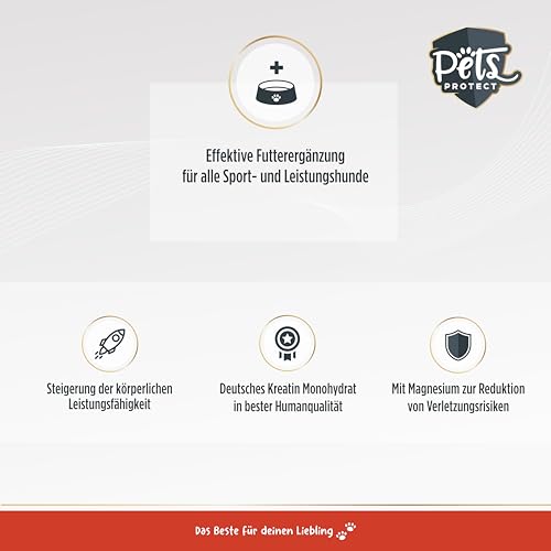 Pets Protect Kreatin Monohydrat Pulver Hunde - Futterergänzung Sporthunde & Wettkampfhunde mit Magnesium - Nährstoffmangel Hund ausgleichen - Futtermittel Sporthunde Nahrungsergänzung - geprüft