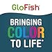 GloFish Aquarium Starter Kit, 6.6 Gallon Fish Tank, Includes Blue & White LED Lights, Tetra Whisper Bio-Bag Filter & Thermometer