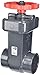 Spears 2022-030 PVC Schedule 80 Gate Valves