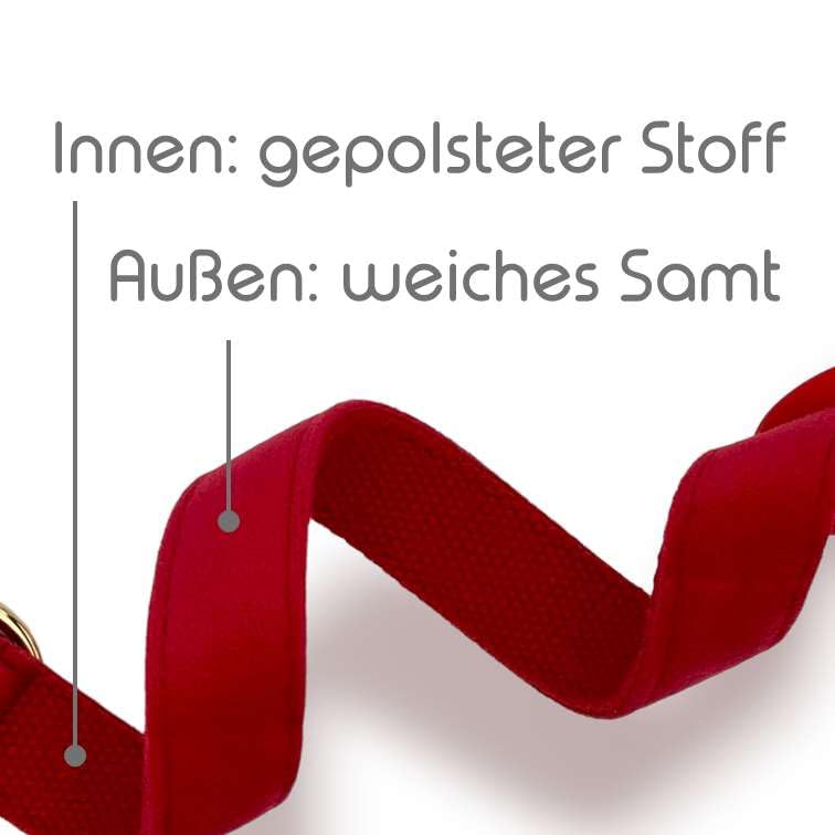 Luxus-Hundehalsband aus Samt mit Airtag-Halterung - Eleganz & Sicherheit für Ihren Vierbeiner in Allen Größen