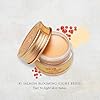 SKINFOOD-Salmon-Dark-Circle-Concealer-Cream-1-Concealer-for-Dark-Circles-Under-Eye-Concealer-for-Dark-Spots-and-Wrinkles-Full-Coverage-Under-Eye-Concealer-035-Oz10-g-Salmon-Blooming SKINFOOD Salmon Dark Circle Concealer Cream #1 - Concealer for Dark Circles - Under Eye Concealer for Dark Spots and Wrinkles - Full Coverage Under Eye Concealer - 0.35 Oz/10 g (Salmon Blooming)