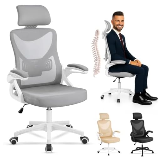 EveryKip® Silla Escritorio Ergonomica Ajustable con Reposabrazos Beige| Ruedas Anti-Arañazos | Sillas Oficina Ejecutiva con Reposacabezas | Cadeira Ergonómica Office Chair (Gris)