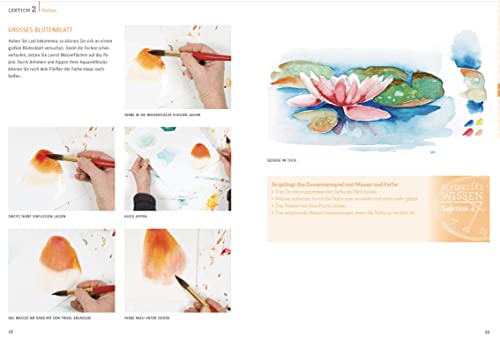 Schnelles Wissen in 30 Minuten - Aquarell malen: Der schnellste Aquarellkurs aller Zeiten