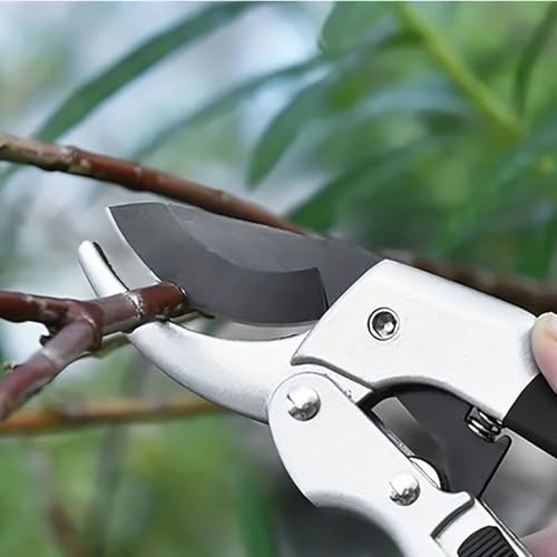 Image of garden shears, Japanese scissors gardening tools, plant pruners for flower, rose, stem, fruit tree, florist cut fresh floral clippers, sharp pruning snips (Silver - 2 pack, 2)