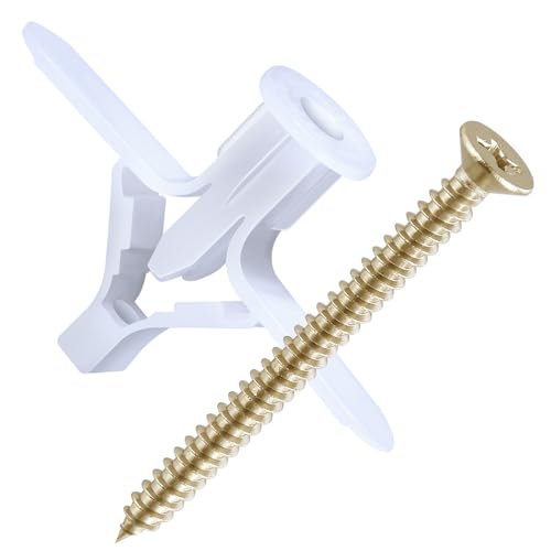 Wensilon Hollow-core Slab Drywall anchoring kit 100pcs,50pcs Screws and 50pcs Aircraft Plastic Expansion anchoring and Screw Combination, Plastic Wall Anchors with self-Tapping Screws,
