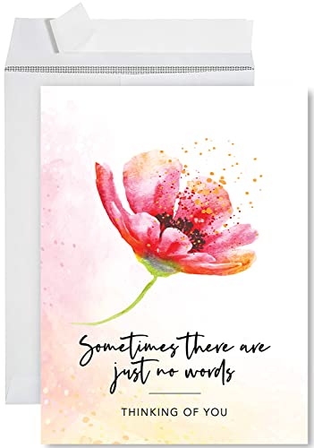 Andaz Press tW{J[h Sorry For Your Lost CardAJust No Words Thinking of YouAPet Loss, ݃J[h FlAƑA8.5" x 11"A1pbN