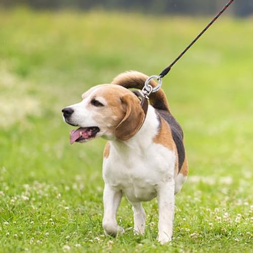 Lusofie 16 Stück Mini Karabiner Runde O Ring Schlüsselring Karabiner 2cm Spaltring Schlüsselanhänger Druckknopf Clip Haken Handwerk DIY Schlüsselbund Zubehör Karabinerhaken