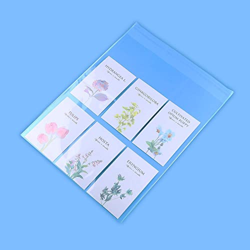 iMailer - 500 Pack - 12\" x 15\" Self Seal Clear Cellophane Bags- Resealable Plastic Poly Cello Bags for Clothing, T-Shirts, Pants