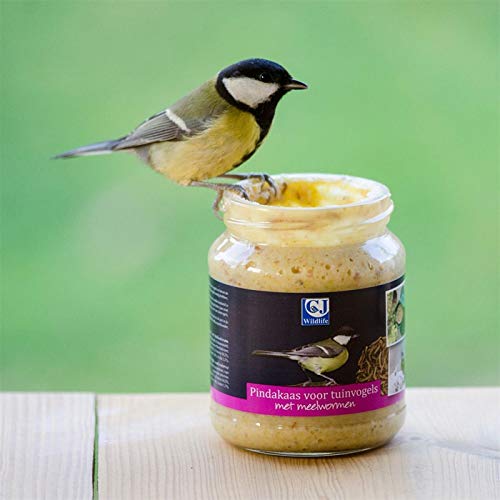 CJ Wildlife Erdnussbutter für Gartenvögel mit Mehlwürmer, Sparpaket 4 x 330g
