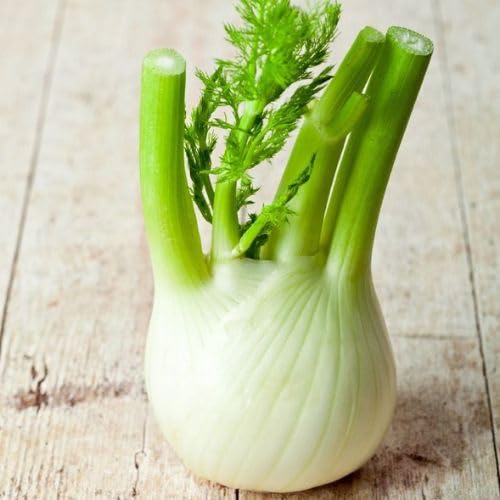 Gebdinsh Garden® Imported Fennel Herbs Seeds For Kitchen Gardening (Pack Of 100 Seeds) (B0D495KQ3B) Amazon Price History, Amazon Price Tracker