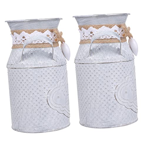 TOYANDONA Metal Sukkulenten Blumentopf 2 Stück Retro Eisen Pflanzgefäß Small Natural Farbe Innen Außen Dekoration Schickes Blumenhalter