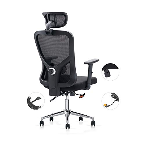 Cedric Office Chair, Breathable Mesh Computer Chair with Ergonomic