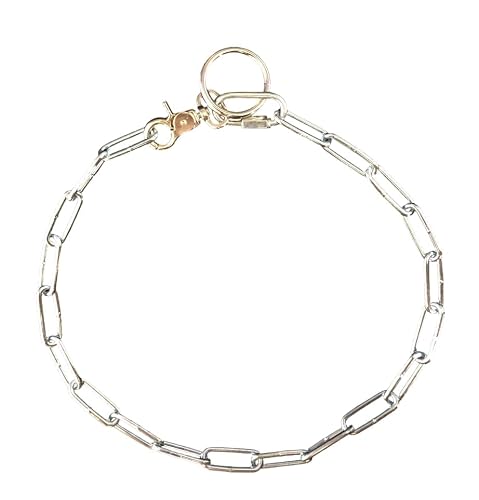 Chaîne de collier pour chien