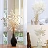 120PCS White Dried Pampas Grass Decor, 17-inch Pompas Floral, Dry Flowers for Decoration, Pampas Grass in Bulk Tall, White Bunny Tails Dried Flowers for Boho Wedding #2