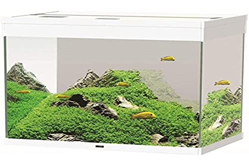 Illuminazione: 1 sistema di illumazione LED 30W 6500°k, colore nero o bianco