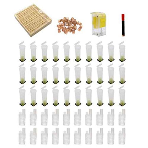 Conjunto de ferramentas de apicultor de esterose, copos de células, sistema de criação de rainha e a