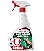 Produktbild Gerobug Ratten & Mäuseabwehr Spray 500 ml mit Langzeitwirkung - Pfefferminzöl gegen Mäuse für Haus & Garten, hochwirksame Alternative zu Mäusegift oder Rattengift