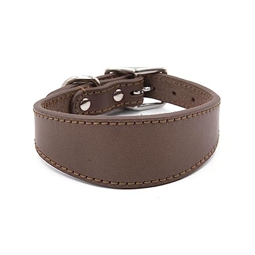 ohodhmnu Leathers - Collar acolchado suave para perros Whippets Salukis Sighthounds, collar ajustable para perros de razas grandes