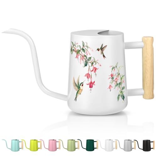 Image of Watering Can Indoor Plants, 35oz Small Stainless Steel Metal Watering Can Modern Decorative Watering Pot with Long Spout for Indoor House Plant Bonsai Garden Flowers (White 1)