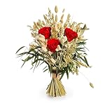 Aluisi Fiori