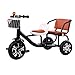 Afang Bici Tandem, Triciclo Pneumatici Solidi Cestello Portaoggetti Caratteristiche Sicurezza Integrate Trike Multifunzione, Doppio Posto Sedere Pedale Bicicletta,Nero